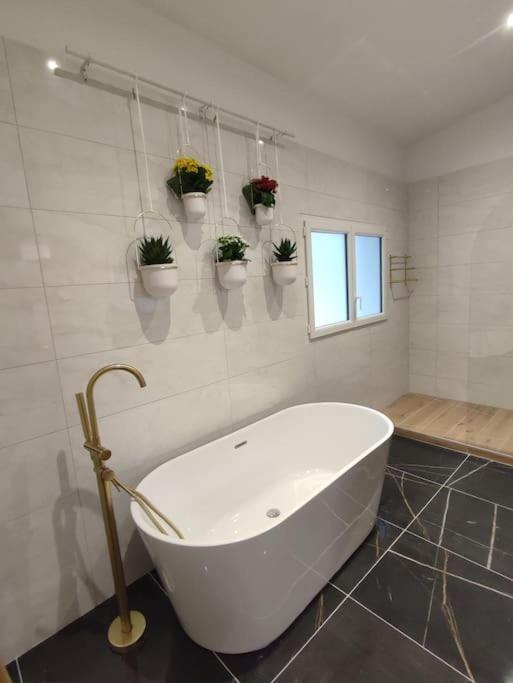 Appartement Le Secret 140M2, Proche Sanctuaires, Climatise Lourdes Luaran gambar