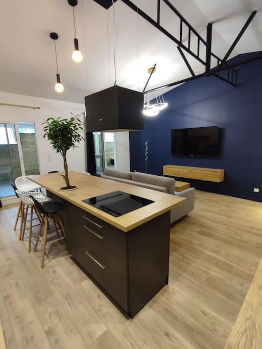Appartement Le Secret 140M2, Proche Sanctuaires, Climatise Lourdes Luaran gambar
